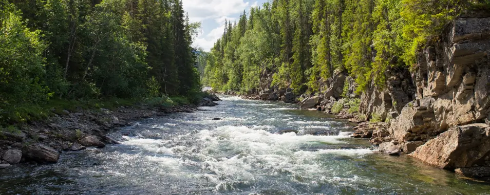 Calm flowing river surrounded by rocks and lush greenery